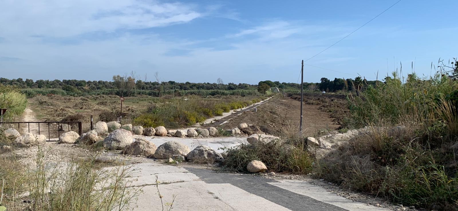 Avola, spianano un agrumeto in zona protetta: proprietari sanzionati
